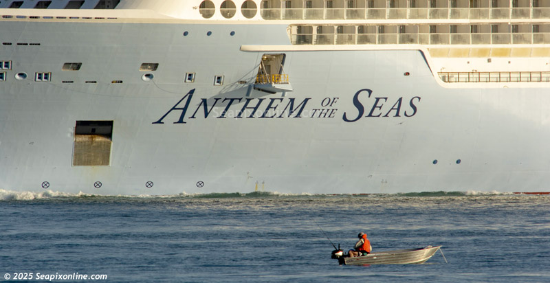 Anthem of the Seas 9656101 ID 14330
